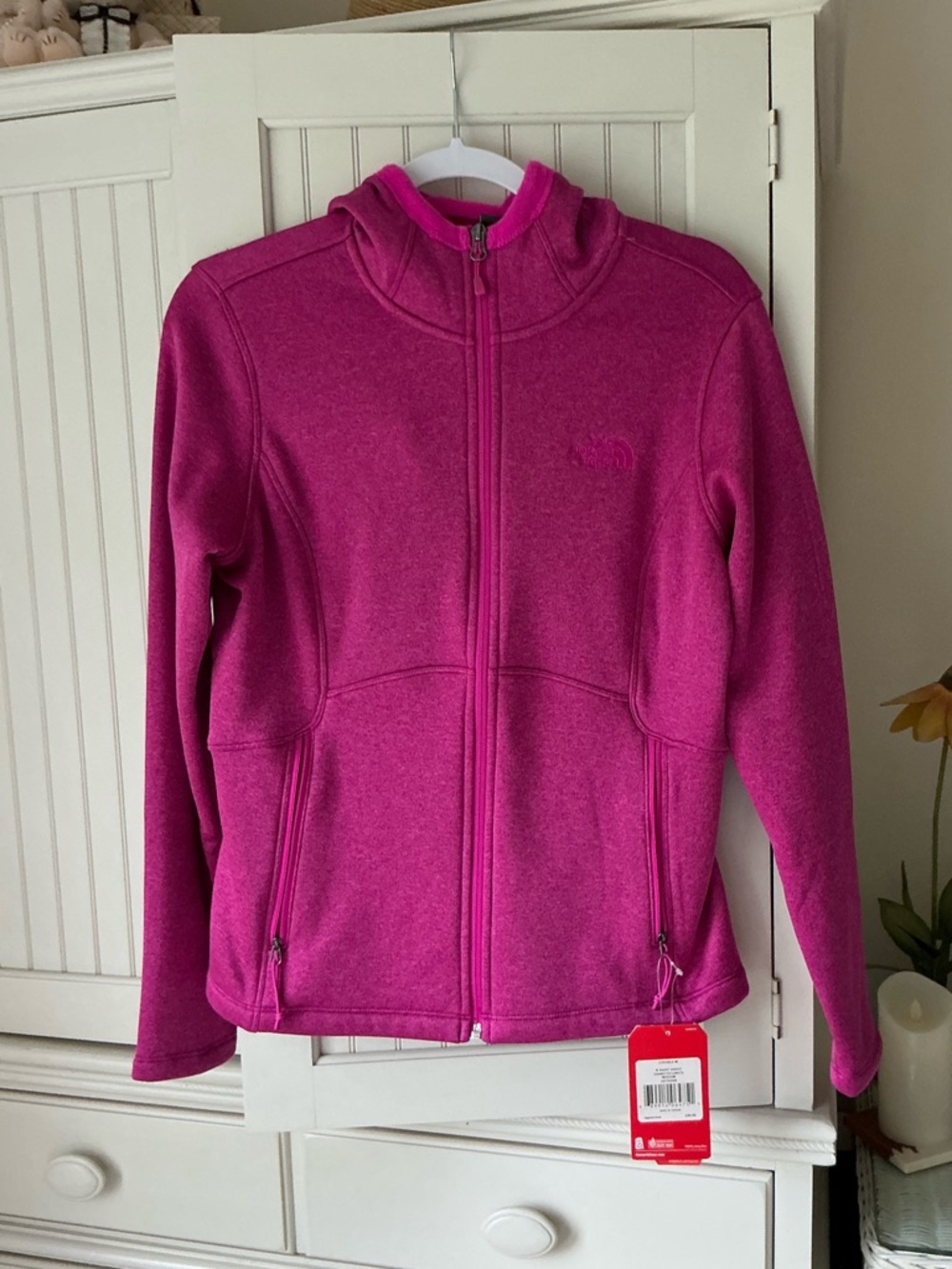 NWT The North Face  Agave Hoodie ❄️